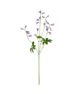 Evighedsblomst Scabiosa H75cm - Lilla