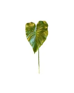 Evigheds Calla blad grøn 75cm