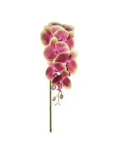 Evigheds Orkide/phalaenopsis real touch grøn/lilla 87cm