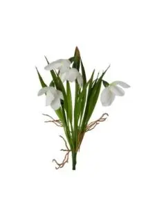 Evigheds Krydderurte mix 5 ass. H25cm