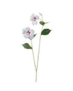 Evighedsblomst Hibiscus hvid 110cm