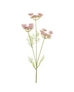 Skærmblomst Rosa - 50cm