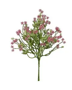 Evighedsblomst Pumila bundt pink 34 cm