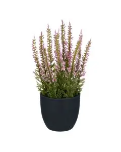 Evigheds Lyng i Potte Rosa H17cm 