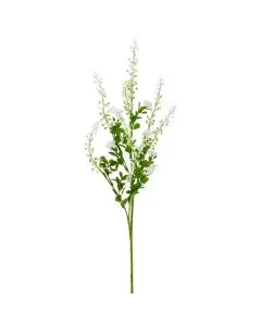 Evighedsblomst Scabiosa H75cm - Lilla