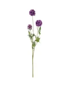 Evighedsblomst Scabiosa H75cm - Lilla