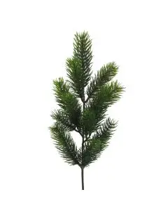 Evigheds Grangren 50cm