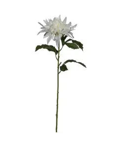 Evigheds Oliventræ 61 cm høj