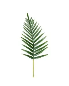 Palmeblad Grøn 65cm