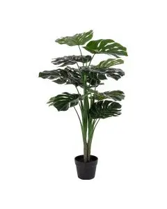 Evigheds Monstera - 90cm
