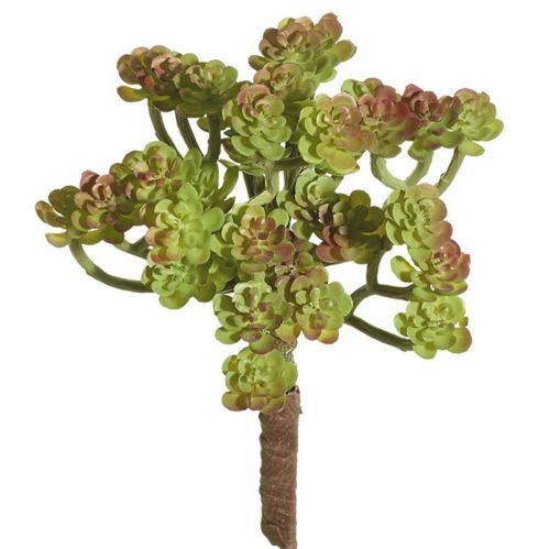 Evigheds Mini sukkulenter H22cm