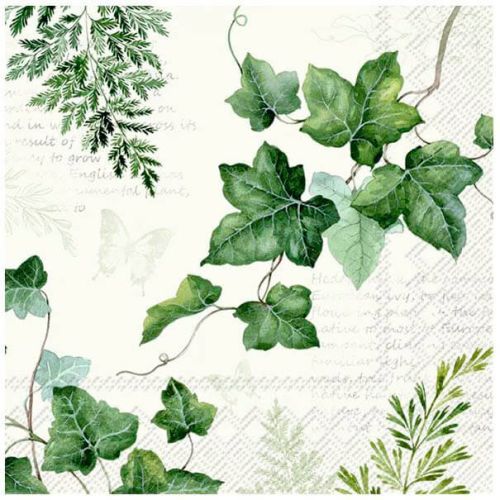 IHR Kaffeserviet 3-lags 20stk - Elwin Cream