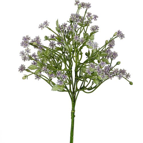 Evighedsblomst Pumila bundt lys lilla 34 cm