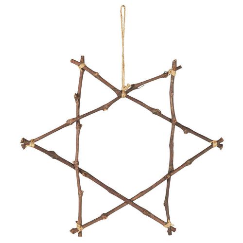 Stjerne af grene 50cm 