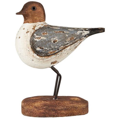 Fugl på fod støvblå vinger Nautico