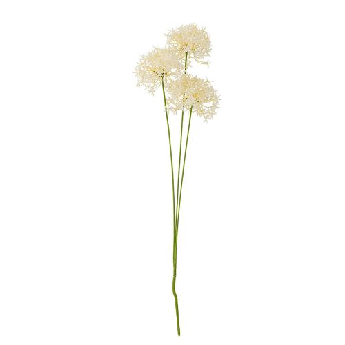Allium hvid m/3 blomster 