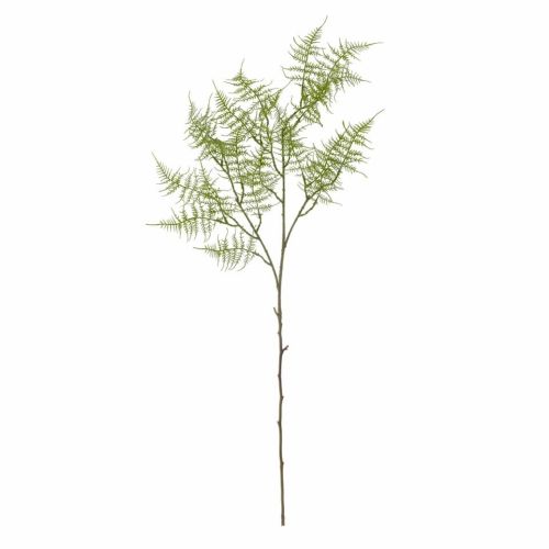 Evigheds Fern Stilk, Grøn H89cm