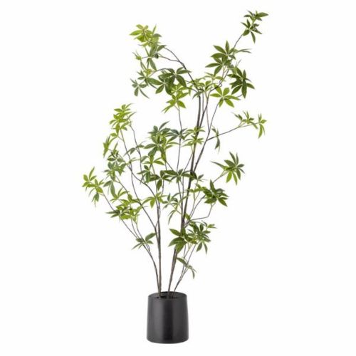 Bloomingville Evighedsplante Palmatum H160cm - Grøn