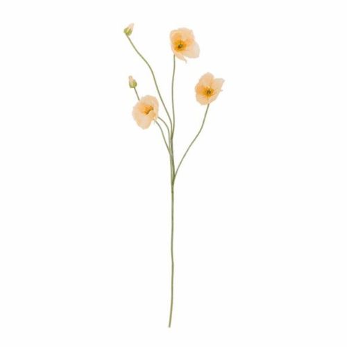 Evighedsblomst Poppy 110cm - Natur