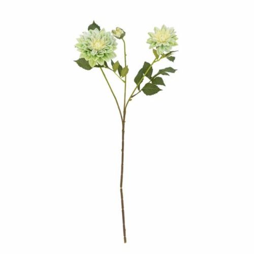 Evighedsblomst Chrysantemum 75cm - Hvid