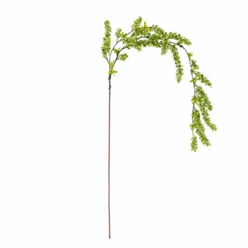 Evigheds Reed Stilk 132cm - Grøn