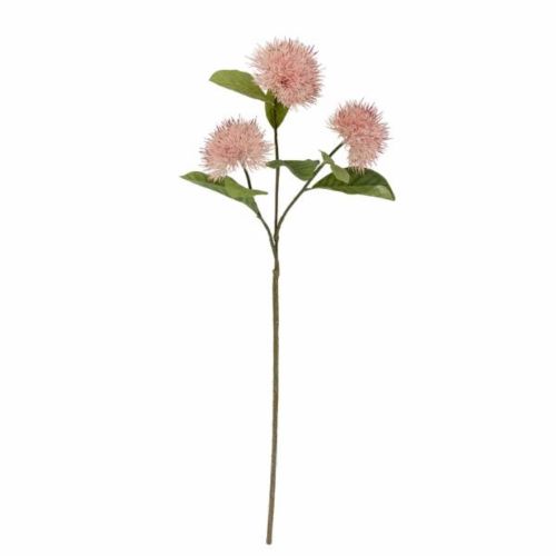 Evighedsblomst Chrysantemum 100cm - Rosa