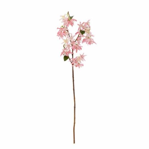 Evighedsblomst Chrysantemum 72cm - Rosa