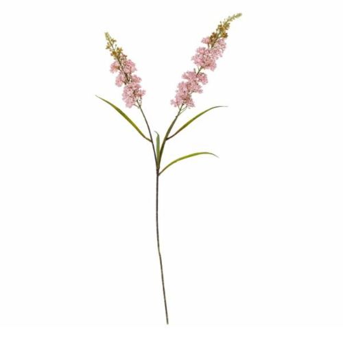 Evighedsblomst Hydrangea 100cm - Rosa