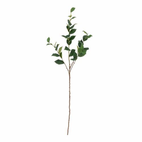Evigheds Eucalyptus Stilk 110cm - Grøn