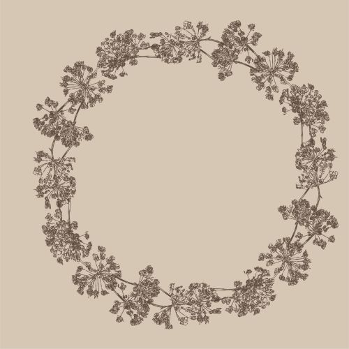 Ib Laursen Middagsserviet 3-lags 50stk - Krans af Skærmblomster