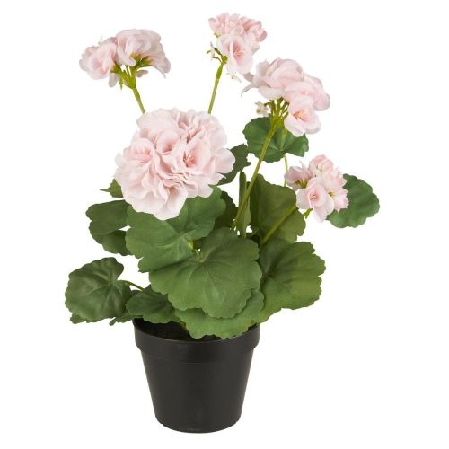 Ib Laursen Pelargonie i potte - Rosa Blomster