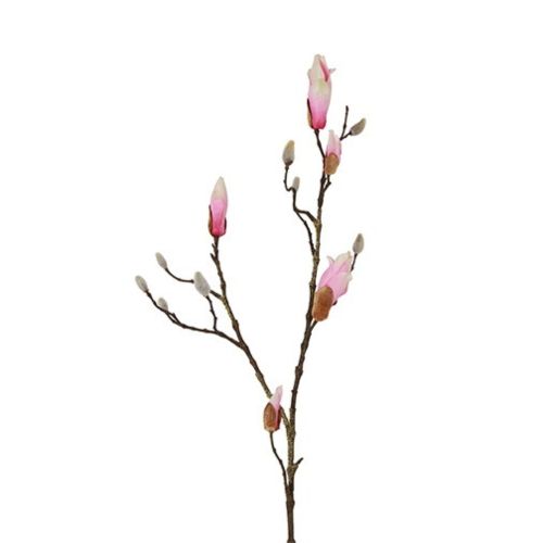 Evigheds Magnolia gren 88cm - Rosa
