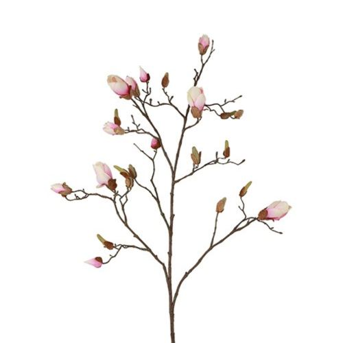 Evigheds Magnolia gren 108cm - Rosa