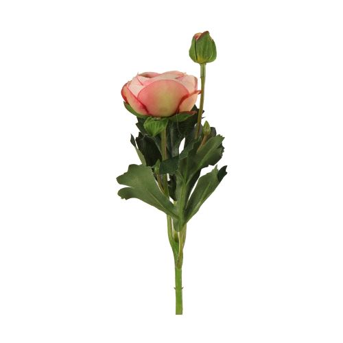 Evighedsblomst Ranunkel 34cm - Rosa