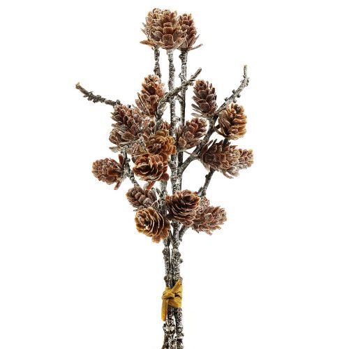 Koglegren 3stk - 28 cm