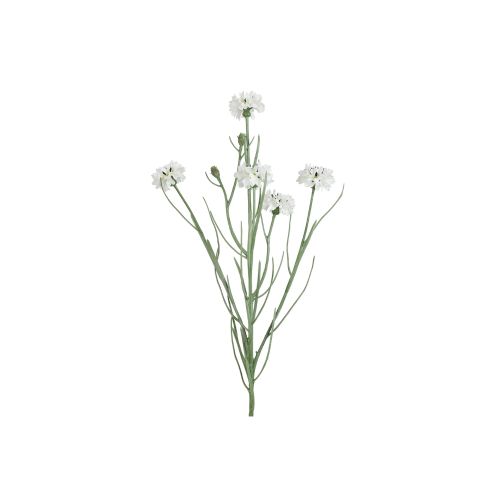 Evigheds Kornblomst Buket 66cm - Hvid