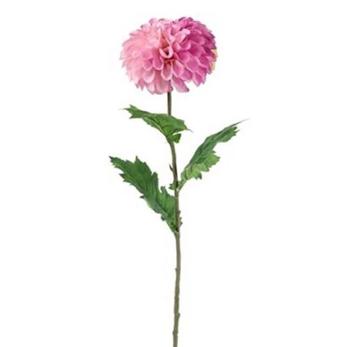 Evighedsblomst Dahlia lilla 75cm