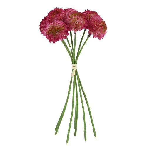 Evighedsblomst Dahlia bundt pink - 26cm