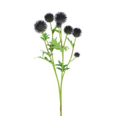 
Evigheds Tidsel Lilla H71cm
