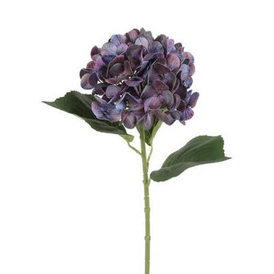 Evighedsblomst Hortensia Lilla H65cm