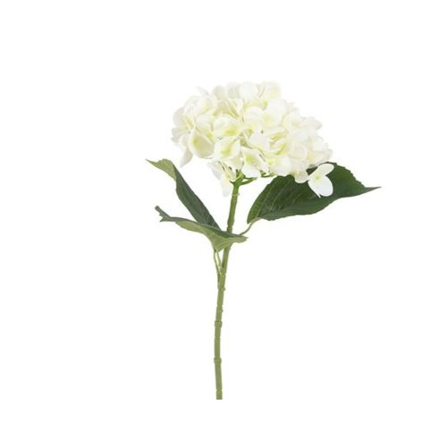 Evighedsblomst Hortensia H65cm - Hvid