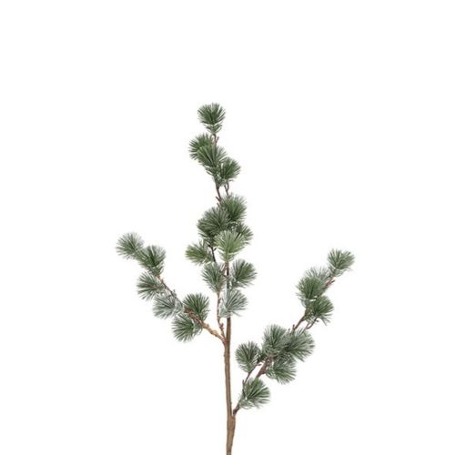 Evigheds Ceder Gran Støvet Grå H106cm