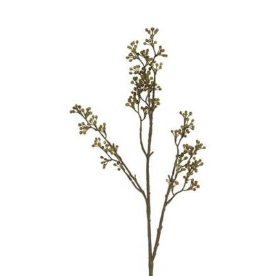 Evighedsgren Bær Grøn H68cm