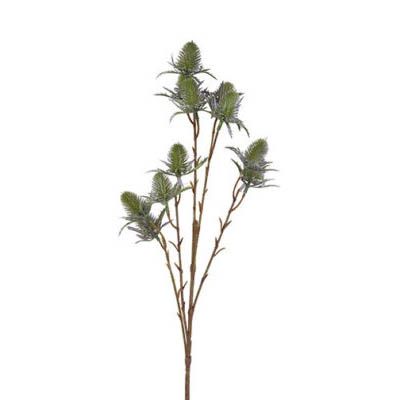 Evigheds Tidsel Lilla/Grøn H65cm