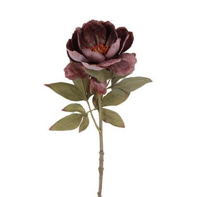 Evighedsblomst Peony Lilla H56cm