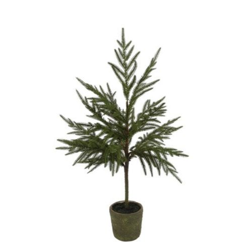 Evigheds Juletræ Opstammet i Potte H74cm