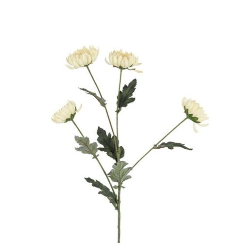 Evighedsblomst Chrysanthemum Creme H83cmEvighedsblomst Chrysanthemum Creme H83cm