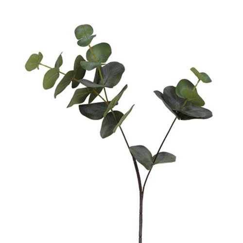 Evigheds Eucalyptus Grøn H80cm