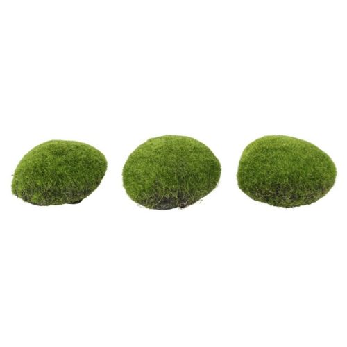 Evigheds Mos Puder 3stk Lys Grøn