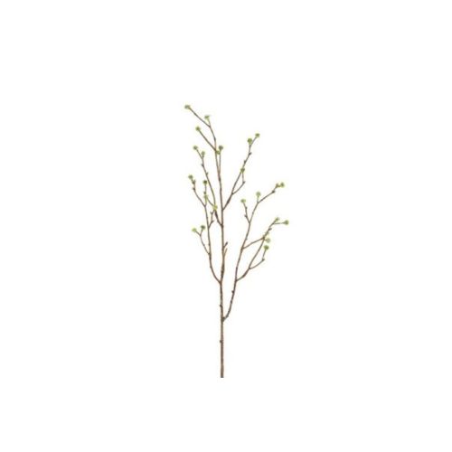 Evigheds Mandstro Gren H75cm - Grøn